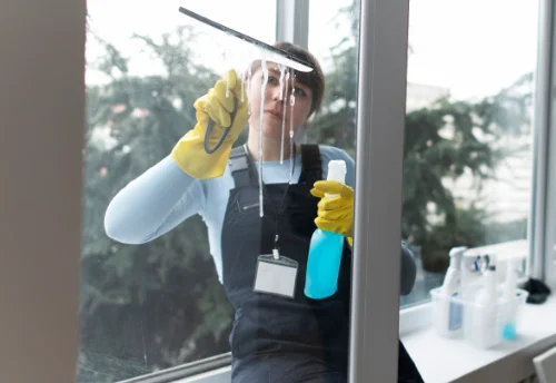 Nettoyage de vitres intérieures et extérieures à la Croix-de-la-Rochette